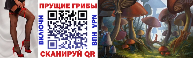 Галлюциногенные грибы GOLDEN TEACHER  Купить где  Арсеньев 